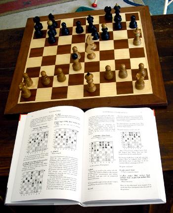 GM 6 - The Sicilian Defence by Lubomir Ftacnik (hardcover